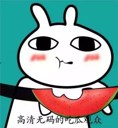 吃瓜表情包,揭秘网络时代的幽默密码